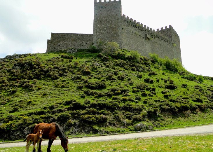 Argüeso Castle, Spain